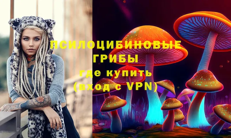 Галлюциногенные грибы Psilocybine cubensis  Томск 